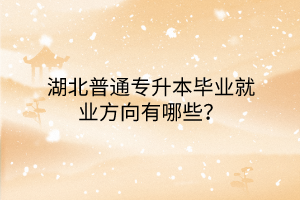湖北普通专升本毕业就业方向有哪些？