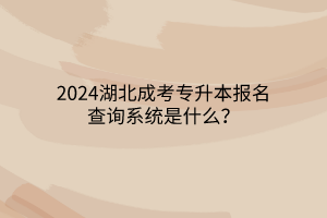 2024湖北成考专升本报名查询系统是什么？