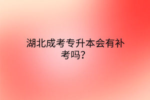 湖北成考专升本会有补考吗？