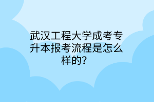 武汉工程大学成考专升本报考流程是怎么样的？