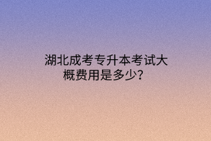 湖北成考专升本考试大概费用是多少？