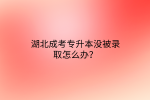 湖北成考专升本没被录取怎么办？