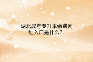 湖北成考专升本缴费网址入口是什么？