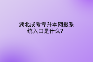 湖北成考专升本网报系统入口是什么？