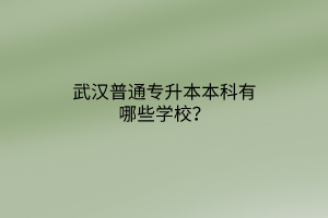 武汉普通专升本本科有哪些学校？