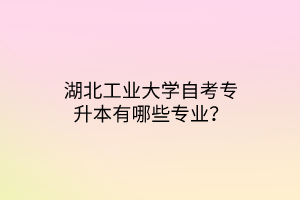 湖北工业大学自考专升本有哪些专业？