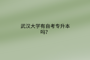 武汉大学有自考专升本吗？