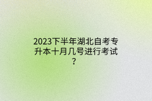 2023下半年湖北自考专升本十月几号进行考试？