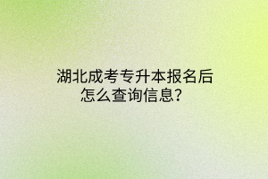 湖北成考专升本报名后怎么查询信息？