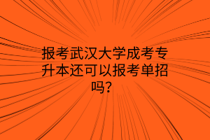 报考武汉大学成考专升本还可以报考单招吗？