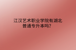 江汉艺术职业学院有湖北普通专升本吗？