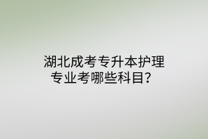 湖北成考专升本护理专业考哪些科目？