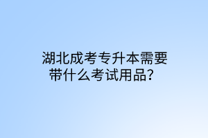 湖北成考专升本需要带什么考试用品？