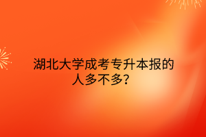 湖北大学成考专升本报的人多不多？