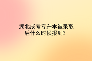 湖北成考专升本被录取后什么时候报到？