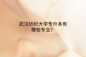 武汉纺织大学专升本有哪些专业？