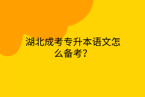 湖北成考专升本语文怎么备考？