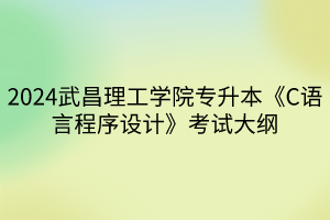 2024武昌理工学院专升本《C语言程序设计》考试大纲