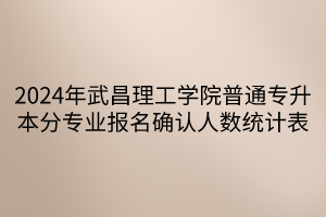 2024年武昌理工学院普通专升本分专业报名确认人数统计表