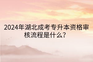 2024年湖北成考专升本资格审核流程是什么？