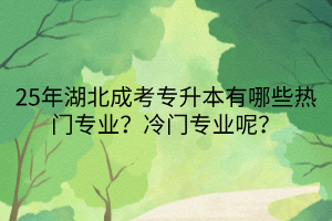 25年湖北成考专升本有哪些热门专业？冷门专业呢？