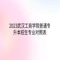 2023武汉工商学院普通专升本招生专业对照表