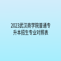 2023武汉商学院普通专升本招生专业对照表