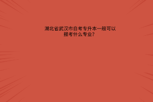 湖北省武汉市自考专升本一般可以报考什么专业？