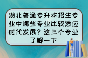 湖北普通专升本招生专业中哪些专业比较适应时代发展?这三个专业了解一下