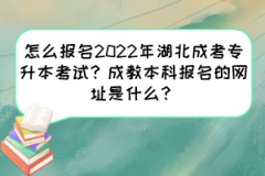 怎么报名2022年湖北成考专升本考试？成教本科报名的网址是什么？