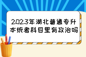 2023年湖北普通专升本统考科目里有政治吗?