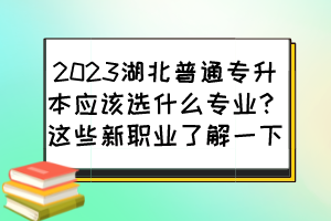 2023湖北普通专升本应该选什么专业?这些新职业了解一下