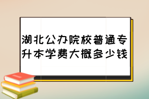 湖北公办院校普通专升本学费大概多少钱?
