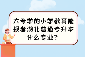 大专学的小学教育能报考湖北普通专升本什么专业?