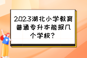 2023湖北小学教育普通专升本能报几个学校?