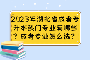 2023年湖北省成考专升本热门专业有哪些?成考专业怎么选?