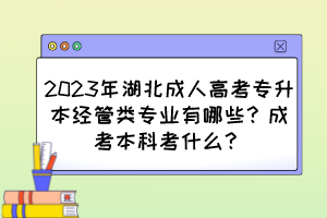 2023年湖北成人高考专升本经管类专业有哪些?成考本科考什么?