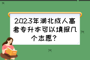 2023年湖北成人高考专升本可以填报几个志愿?