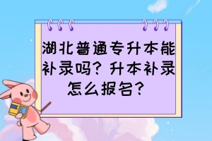 湖北普通专升本能补录吗?升本补录怎么报名?