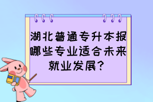 湖北普通专升本报哪些专业适合未来就业发展?