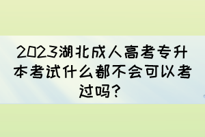 2023湖北成人高考专升本考试什么都不会可以考过吗?
