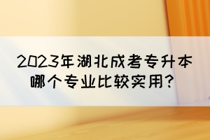 2023年湖北成考专升本哪个专业比较实用?