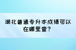 湖北普通专升本成绩可以在哪里查?