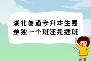 湖北普通专升本生是单独一个班还是插班?
