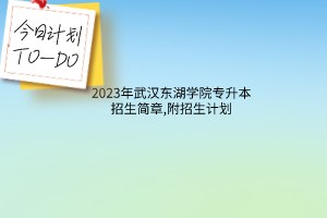 2023年武汉东湖学院专升本招生简章,附招生计划