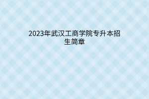 2023年汉口学院普通专升本招生简章