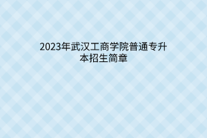 2023年武昌工学院普通专升本招生简章