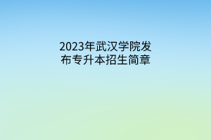 2023年武汉学院发布专升本招生简章