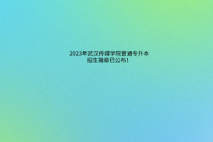 2023年武汉传媒学院普通专升本招生简章已公布！