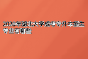 2020年湖北大学成考专升本招生专业有哪些